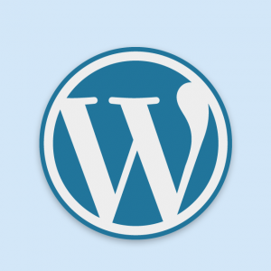 Wordpress Vulnerability