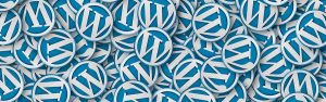 WordPress Security Issues