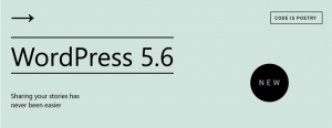 update wordpress 5.6