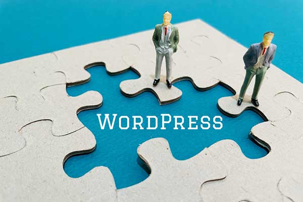 Wordpress Consultant