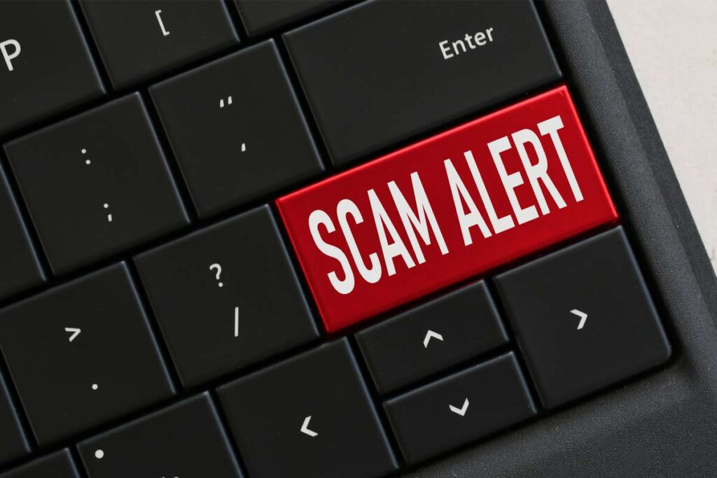 Domain listings scam