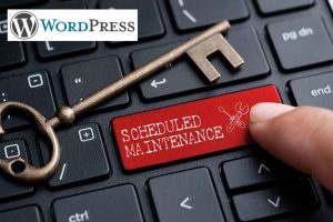 Monthly Wordpress Maintenance Services